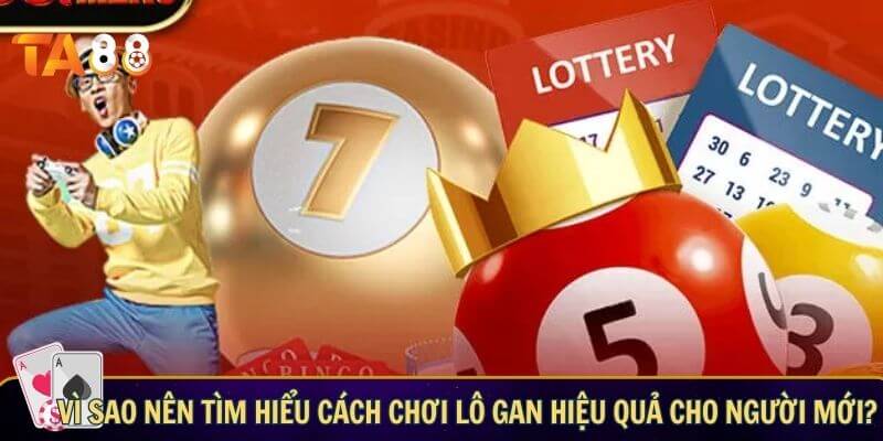 Vì sao nên tìm hiểu cách chơi lô gan hiệu quả cho người mới?
